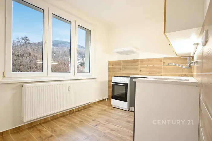 Pronájem bytu 2+1, Jáchymov, Na Slovanech, 60 m2