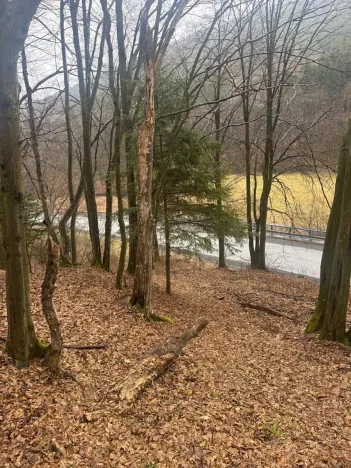 Prodej lesa, Huslenky, 16650 m2