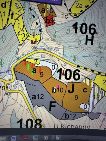 Prodej lesa, Plavy, 32050 m2