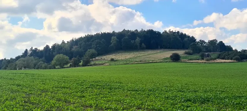 Prodej pozemku pro bydlení, Bystřice, 1245 m2