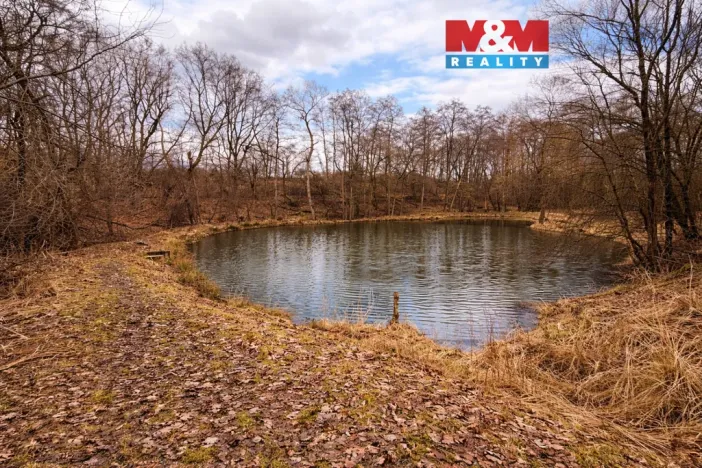 Prodej komerčního pozemku, Křečovice - Vlkonice, 68525 m2