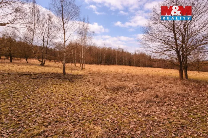 Prodej komerčního pozemku, Křečovice - Vlkonice, 68525 m2