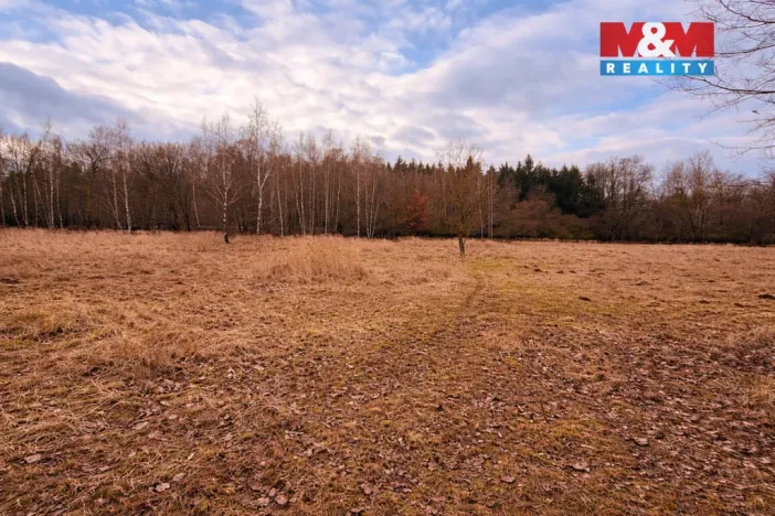 Prodej komerčního pozemku, Křečovice - Vlkonice, 68525 m2