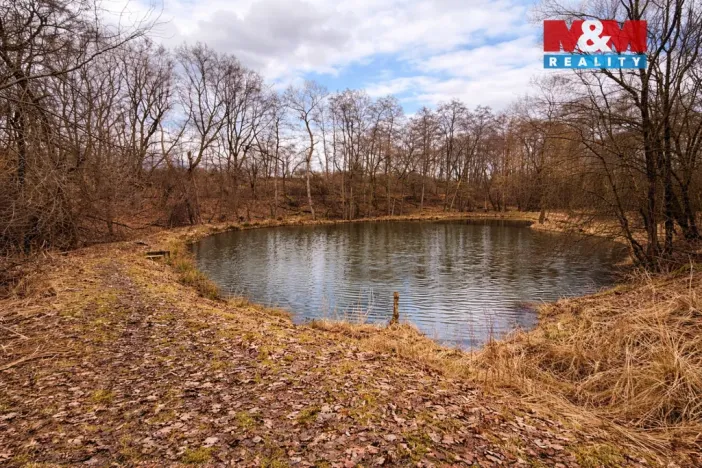 Prodej louky, Křečovice - Vlkonice, 68525 m2