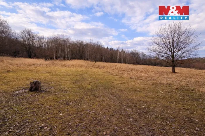 Prodej rybníku, Křečovice - Vlkonice, 68525 m2