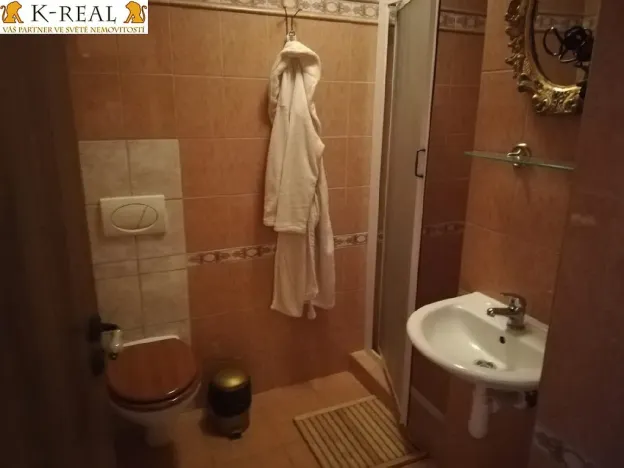 Pronájem bytu 1+kk, Brno - Bosonohy, 22 m2