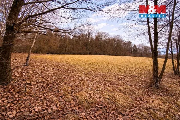 Prodej pozemku pro bydlení, Křečovice - Vlkonice, 68525 m2