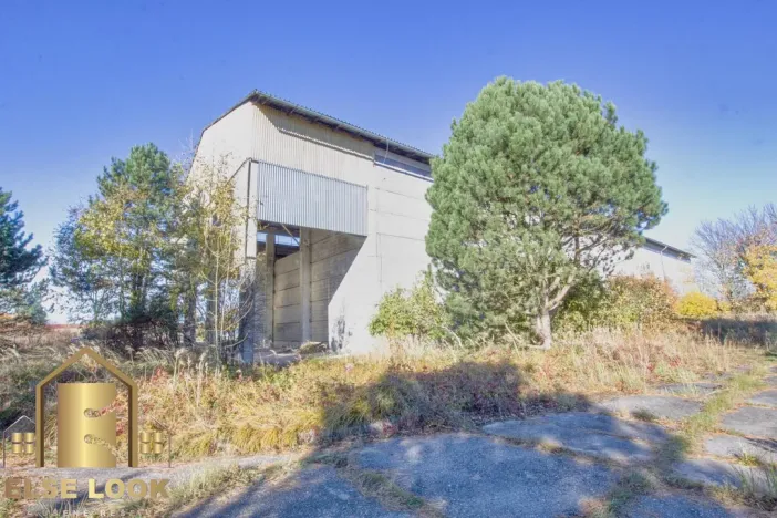 Pronájem skladu, Třebechovice pod Orebem, Plk. Zavorala, 6060 m2