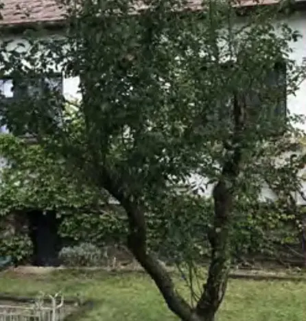 Dražba rodinného domu, Slapy, 70 m2