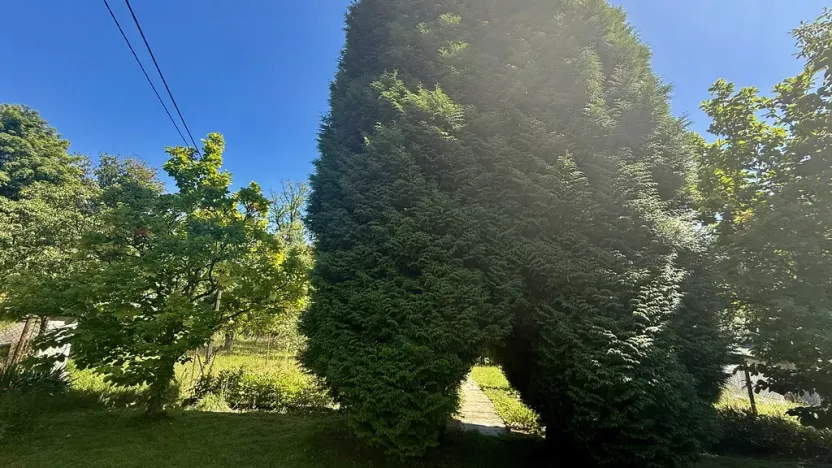 Prodej zahrady, Orlová, Dr. M. Tyrše, 1537 m2