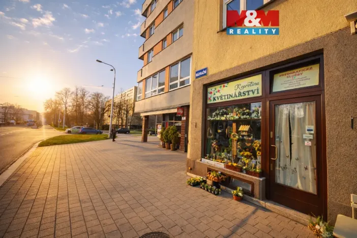 Pronájem obchodního prostoru, Ostrava - Moravská Ostrava, Nádražní, 35 m2