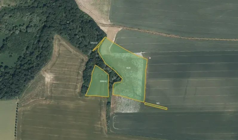 Prodej pole, Tuklaty, 43275 m2