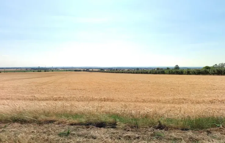 Prodej pole, Olomouc, 29414 m2