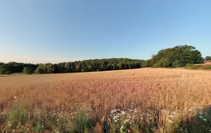 Prodej pole, Ostrava, 16924 m2