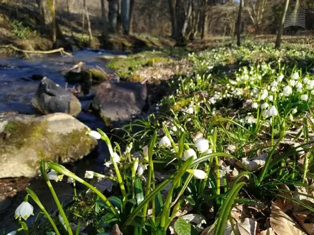 Prodej chaty, Skorotice, 48 m2