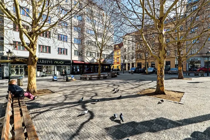 Prodej bytu 3+kk, Praha - Nové Město, Petrská, 85 m2