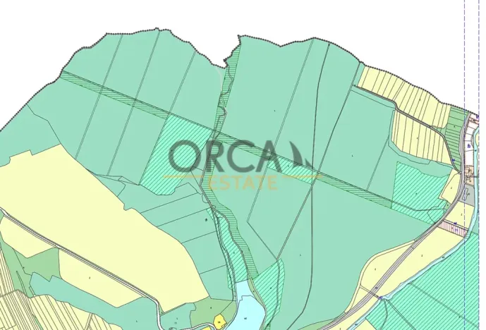 Prodej louky, Březolupy, 1729 m2