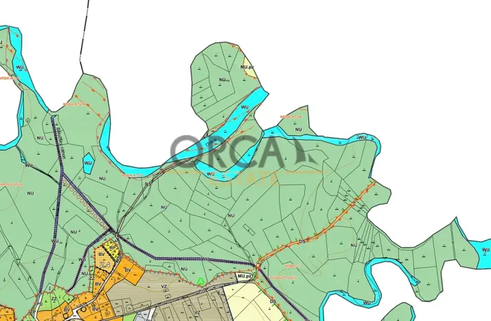 Prodej louky, Běleč nad Orlicí, 15624 m2