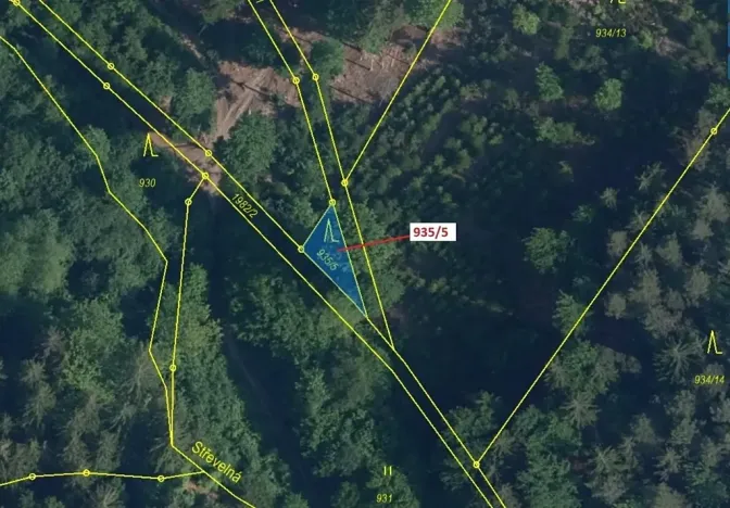 Dražba lesa, Jílové u Držkova, 88 m2