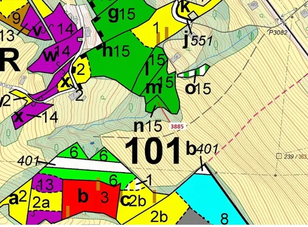Dražba lesa, Semily, 561 m2