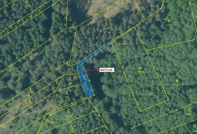 Dražba lesa, Netřebice, 295 m2