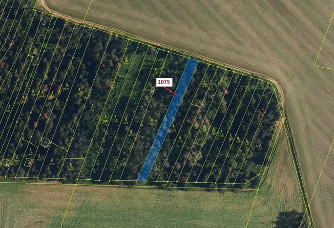 Dražba lesa, Dolní Vilémovice, 1134 m2