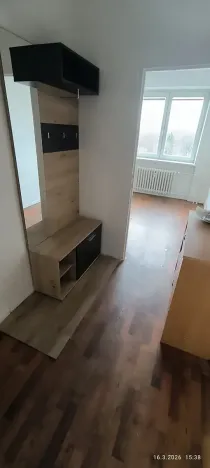 Pronájem bytu 1+1, Ostrava, Srbská, 40 m2