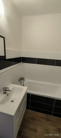 Pronájem bytu 1+1, Ostrava, Srbská, 40 m2