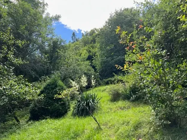 Pronájem zahrady, Křivoklát, 770 m2