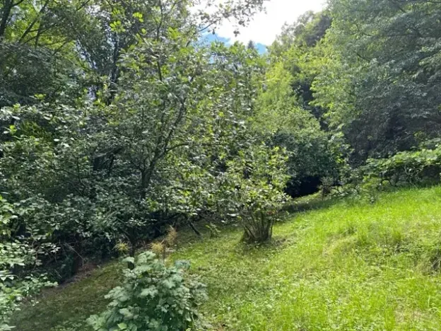 Pronájem zahrady, Křivoklát, 770 m2