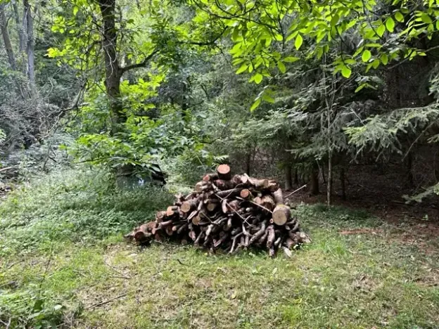 Pronájem zahrady, Křivoklát, 770 m2