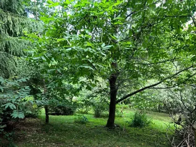 Pronájem zahrady, Křivoklát, 770 m2