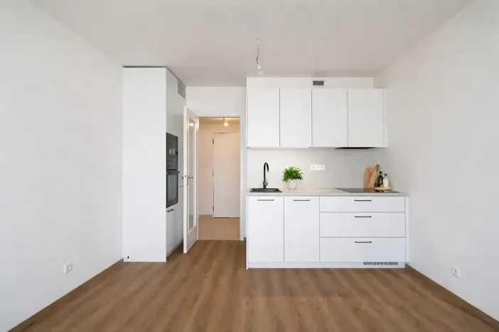 Pronájem bytu 1+kk, Praha - Hloubětín, Poděbradská, 32 m2