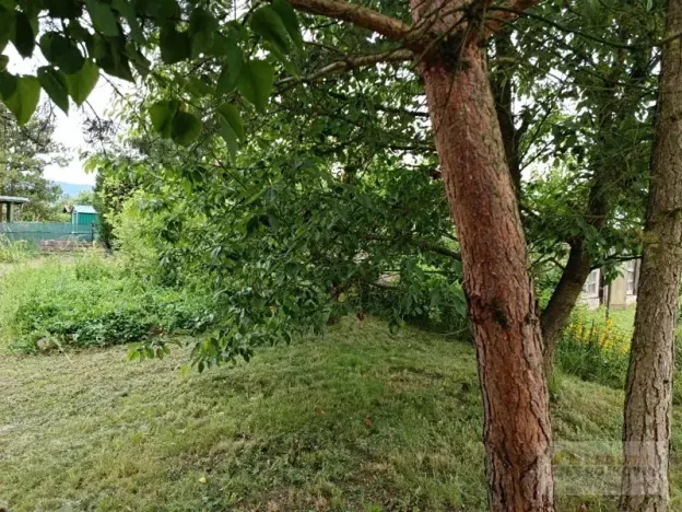 Prodej zahrady, Broumov, 285 m2