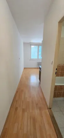 Pronájem bytu 1+1, Brno - Kohoutovice, Prokofjevova, 36 m2