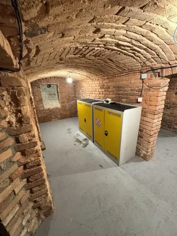 Pronájem bytu 1+kk, České Budějovice, Družstevní, 30 m2
