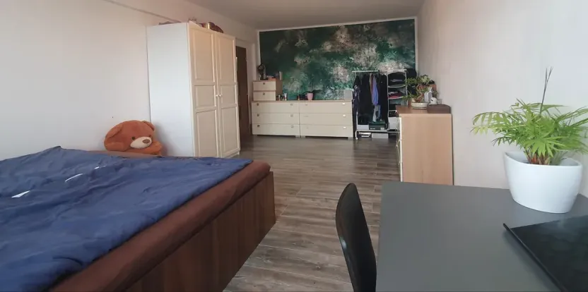 Prodej bytu 3+1, Mladá Boleslav - Mladá Boleslav II, Na Radouči, 84 m2