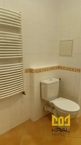 Pronájem bytu 1+kk, Praha - Strašnice, Názovská, 39 m2