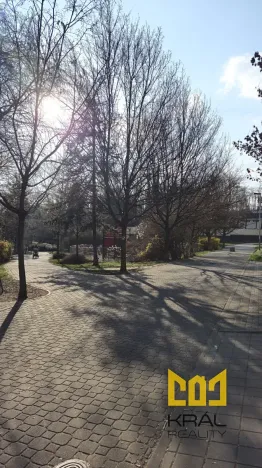 Pronájem bytu 1+kk, Praha - Strašnice, Názovská, 39 m2