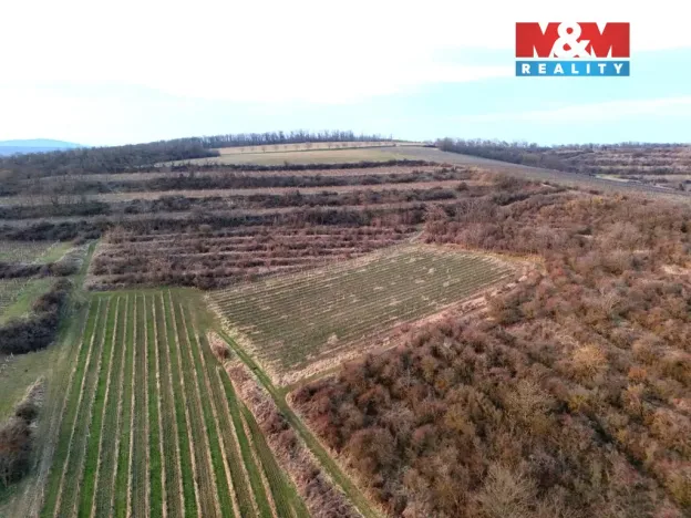 Prodej pole, Sedlec, 9215 m2