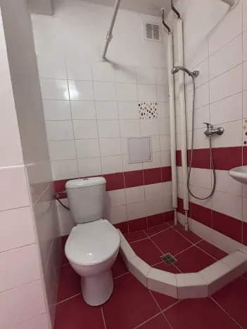 Pronájem bytu 1+kk, Ostrava - Hrabůvka, Krakovská, 21 m2