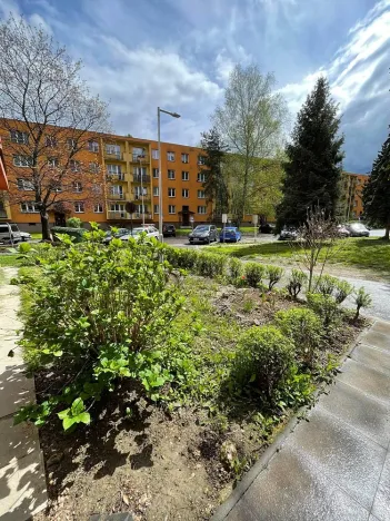 Pronájem bytu 1+kk, Ostrava - Hrabůvka, Krakovská, 21 m2