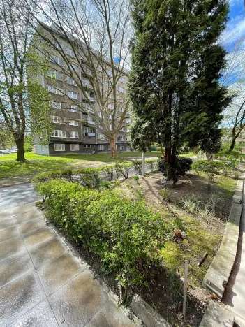 Pronájem bytu 1+kk, Ostrava - Hrabůvka, Krakovská, 21 m2