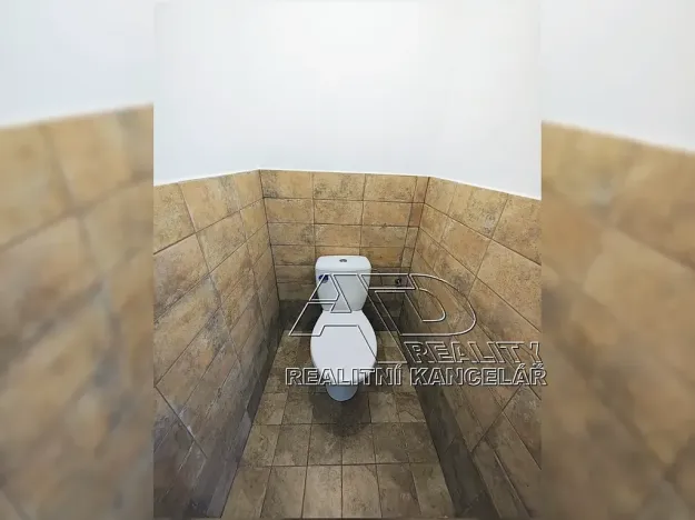 Pronájem atypického bytu, České Budějovice, 44 m2