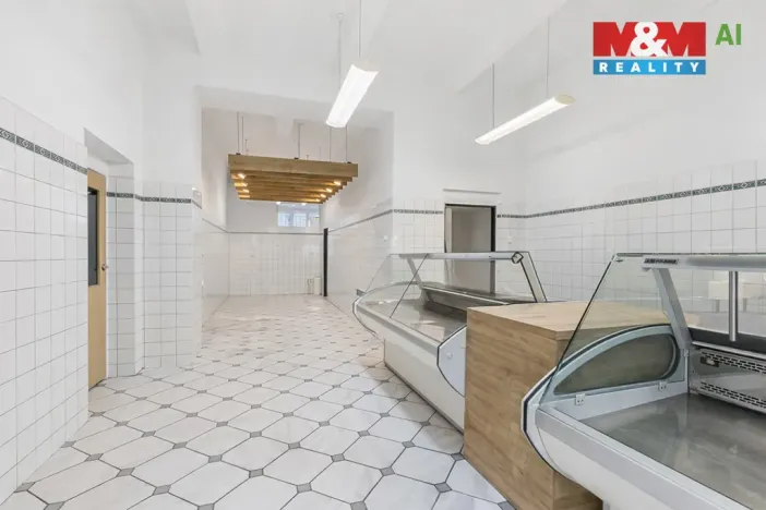 Prodej obchodního prostoru, Louny, Husova, 744 m2
