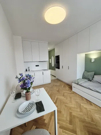 Pronájem bytu 1+kk, Pardubice - Zelené Předměstí, Palackého třída, 21 m2