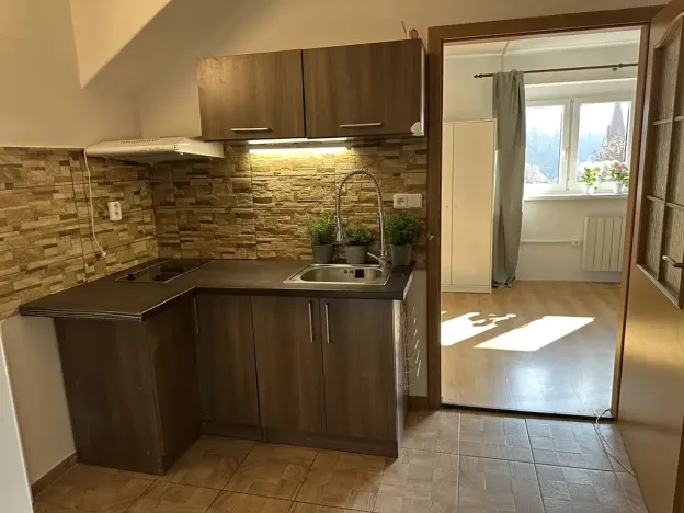 Pronájem bytu 1+1, Velké Hamry, 41 m2