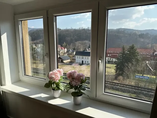 Pronájem bytu 1+1, Velké Hamry, 41 m2