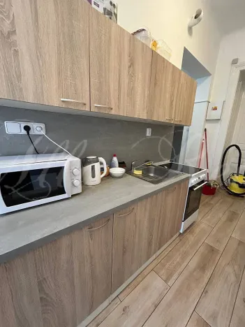 Pronájem bytu 5+kk, Brno - Ponava, Pionýrská, 15 m2