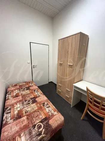 Pronájem bytu 4+1, Brno - Trnitá, Plotní, 15 m2